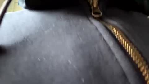 Snapshot of anonomousloser chatting on 01/06/25, 02:36 anonomousloser online show from 01/06/25, 02:36