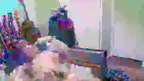 Snapshot of anssyboy696 chatting on 10/11/25, 05:22 anssyboy696 online show from 10/11/25, 05:22