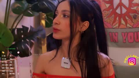 Nell. online show from 02/13/26, 07:43