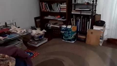 antonino85 online show from 12/24/24, 07:11