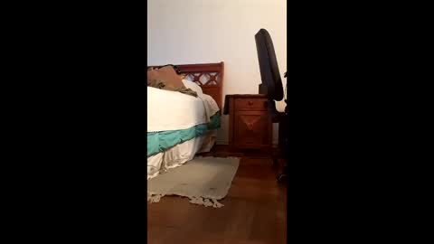 antonino85 online show from 02/20/26, 09:48