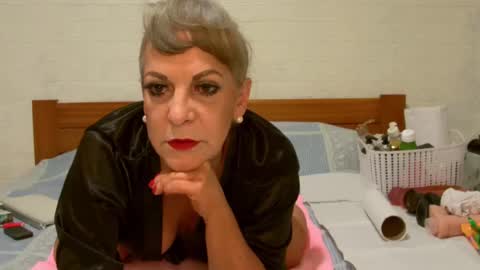 ANY CAT online show from 12/24/24, 08:55