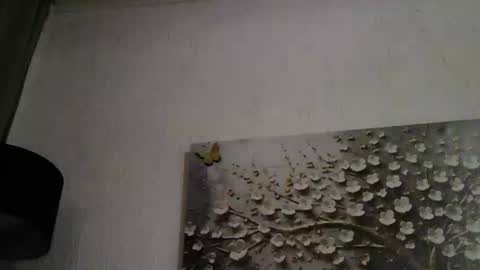 AnyBigTitts online show from 03/01/26, 04:42