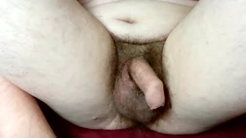 Snapshot of anythinggoes4u00 chatting on 11/11/25, 03:45 Small Dick Fat Ugly online show from 11/11/25, 03:45