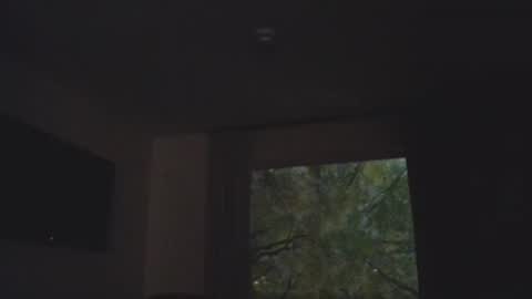 Snapshot of anytime07 chatting on 11/05/25, 01:38 Daddy online show from 11/05/25, 01:38