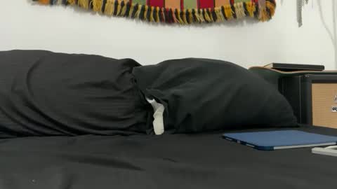 cowboy online show from 11/18/25, 08:08