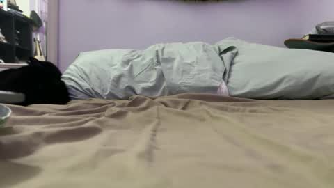 cowboy online show from 12/04/25, 09:29