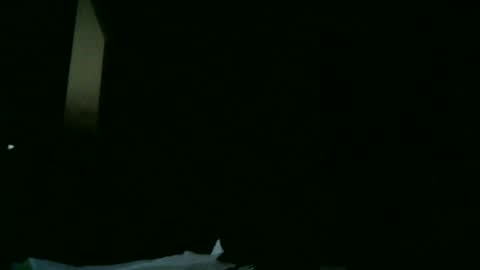 Snapshot of apixaba chatting on 03/09/25, 08:21 furry bear online show from 03/09/25, 08:21