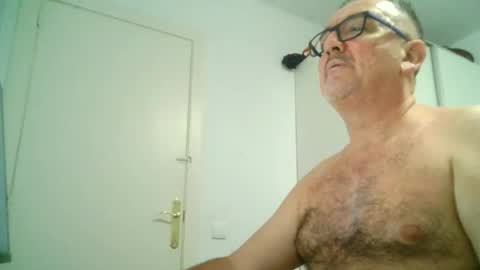 Snapshot of apixaba chatting on 09/08/25, 10:53 furry bear online show from 09/08/25, 10:53