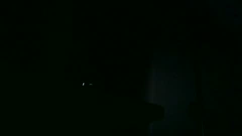 Snapshot of apixaba chatting on 10/18/25, 07:03 furry bear online show from 10/18/25, 07:03