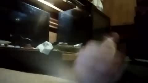 apocolypseanomaly online show from 01/03/25, 10:52