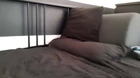 Snapshot of apollobest77 chatting on 11/06/25, 02:40 apollobest77 online show from 11/06/25, 02:40