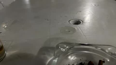 Snapshot of appelsapje4 chatting on 11/24/25, 12:43 appelsapje4 online show from 11/24/25, 12:43