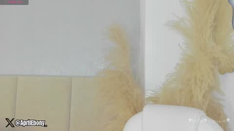 Snapshot of april_ebony18_ chatting on 07/02/26, 10:43 April online show from 07/02/26, 10:43