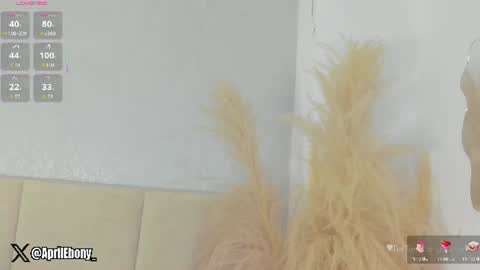 Snapshot of april_ebony18_ chatting on 07/15/26, 10:53 April online show from 07/15/26, 10:53