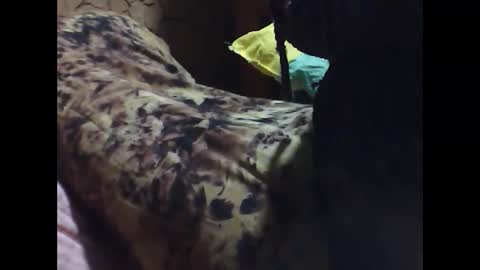 ara bellah online show from 03/21/26, 08:34