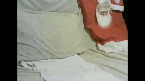 Snapshot of arabtrans2025 chatting on 01/17/25, 07:27 arabtrans2025 online show from 01/17/25, 07:27