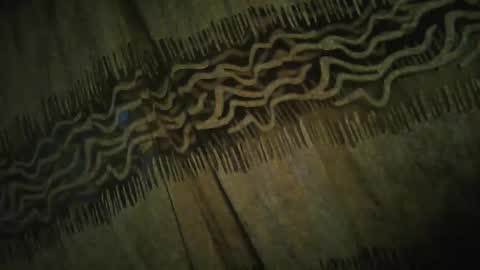 Snapshot of archkeinzas chatting on 11/24/25, 04:34 olo online show from 11/24/25, 04:34