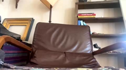 arealjerk69696969 online show from 06/10/26, 05:56