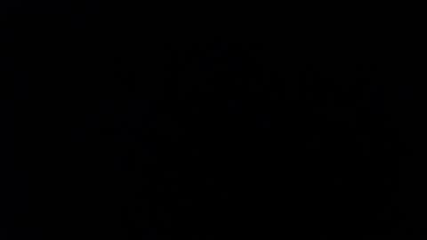 ARIANNA  online show from 02/03/26, 02:53