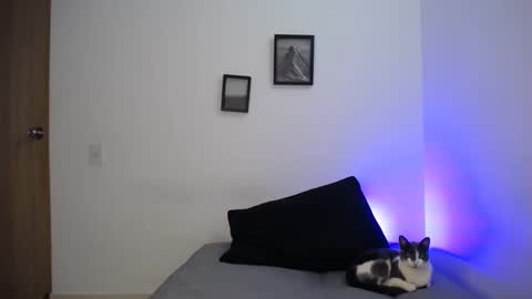 Snapshot of aria_jhonsson777 chatting on 12/19/24, 05:40 777 online show from 12/19/24, 05:40