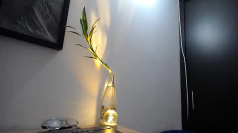 Snapshot of aria_jhonsson777 chatting on 01/10/26, 04:09 777 online show from 01/10/26, 04:09