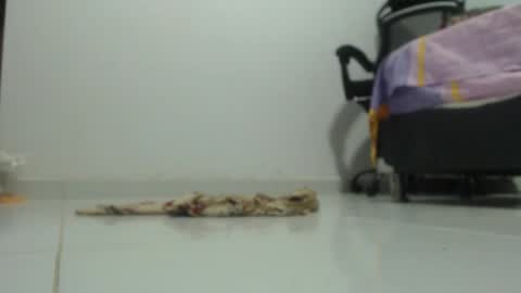 ...Ariana... online show from 01/29/25, 06:18