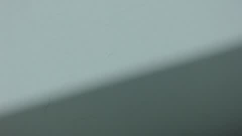 ...Ariana... online show from 10/20/25, 03:29