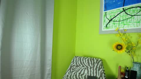 Snapshot of ariana_14_ chatting on 10/29/25, 09:05 Ariana online show from 10/29/25, 09:05