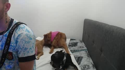 Snapshot of ariana_esteban07 chatting on 02/06/26, 10:29 ariana_esteban07 online show from 02/06/26, 10:29