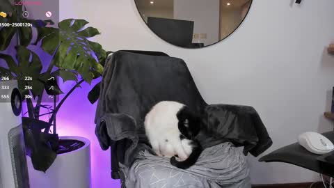 Snapshot of ariana_fitl chatting on 01/28/25, 03:47 DaniAri - dimension X at night NY time online show from 01/28/25, 03:47