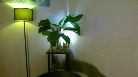 Snapshot of arianna_fox_devaxx chatting on 02/16/25, 03:58 Your love arianna online show from 02/16/25, 03:58