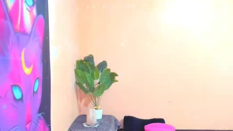 Snapshot of ariba_aribats chatting on 02/18/25, 01:11 VAL online show from 02/18/25, 01:11