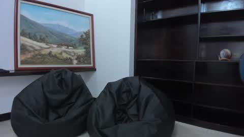 Ariel Pink Diamond online show from 01/31/25, 09:48