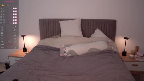 Ariel online show from 02/12/25, 06:29