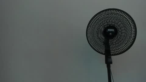 Ariel  online show from 12/12/24, 07:30