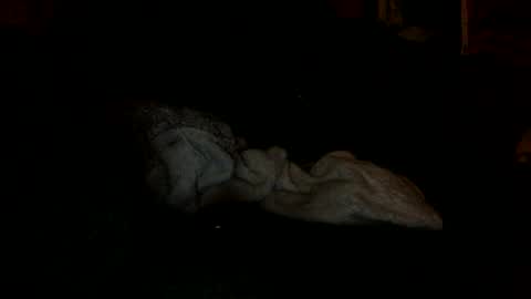 arley1966 online show from 11/04/25, 02:43