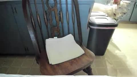 Snapshot of armalite16 chatting on 11/13/25, 06:23 armalite16 online show from 11/13/25, 06:23