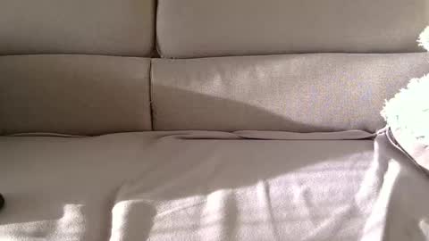 Snapshot of arpinopeer3055 chatting on 11/05/25, 08:14 arpinopeer3055 online show from 11/05/25, 08:14