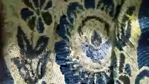 arshkhant987 online show from 01/31/26, 07:11