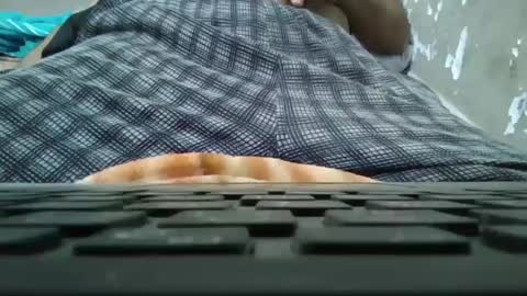 Snapshot of art_max99xxx chatting on 01/11/25, 11:13 art_max99xxx online show from 01/11/25, 11:13