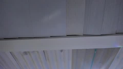 FENIX online show from 11/20/25, 02:45