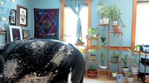 Snapshot of artiepaints chatting on 12/22/24, 03:22 Artie Paints online show from 12/22/24, 03:22