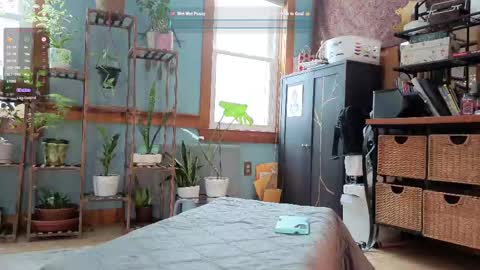 Snapshot of artiepaints chatting on 02/10/25, 05:30 Artie Paints online show from 02/10/25, 05:30