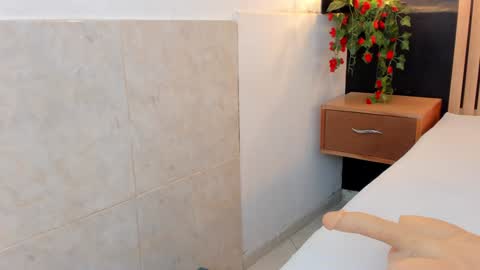 Ana online show from 12/29/24, 08:04