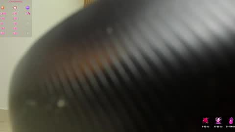 Snapshot of arya_ruiz chatting on 12/30/24, 03:24 Arya online show from 12/30/24, 03:24
