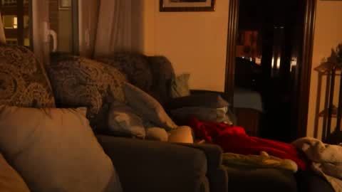 Troy online show from 01/15/25, 06:08