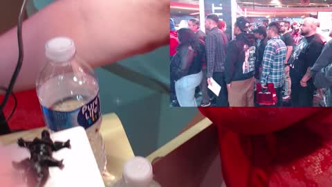 SweetAshCheeks online show from 01/19/26, 04:05