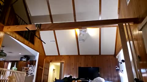 Ashelynn Grey online show from 02/27/25, 02:21