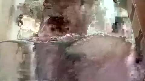 Snapshot of ashiqsarker3310 chatting on 10/03/25, 10:12 ashiqsarker3310 online show from 10/03/25, 10:12